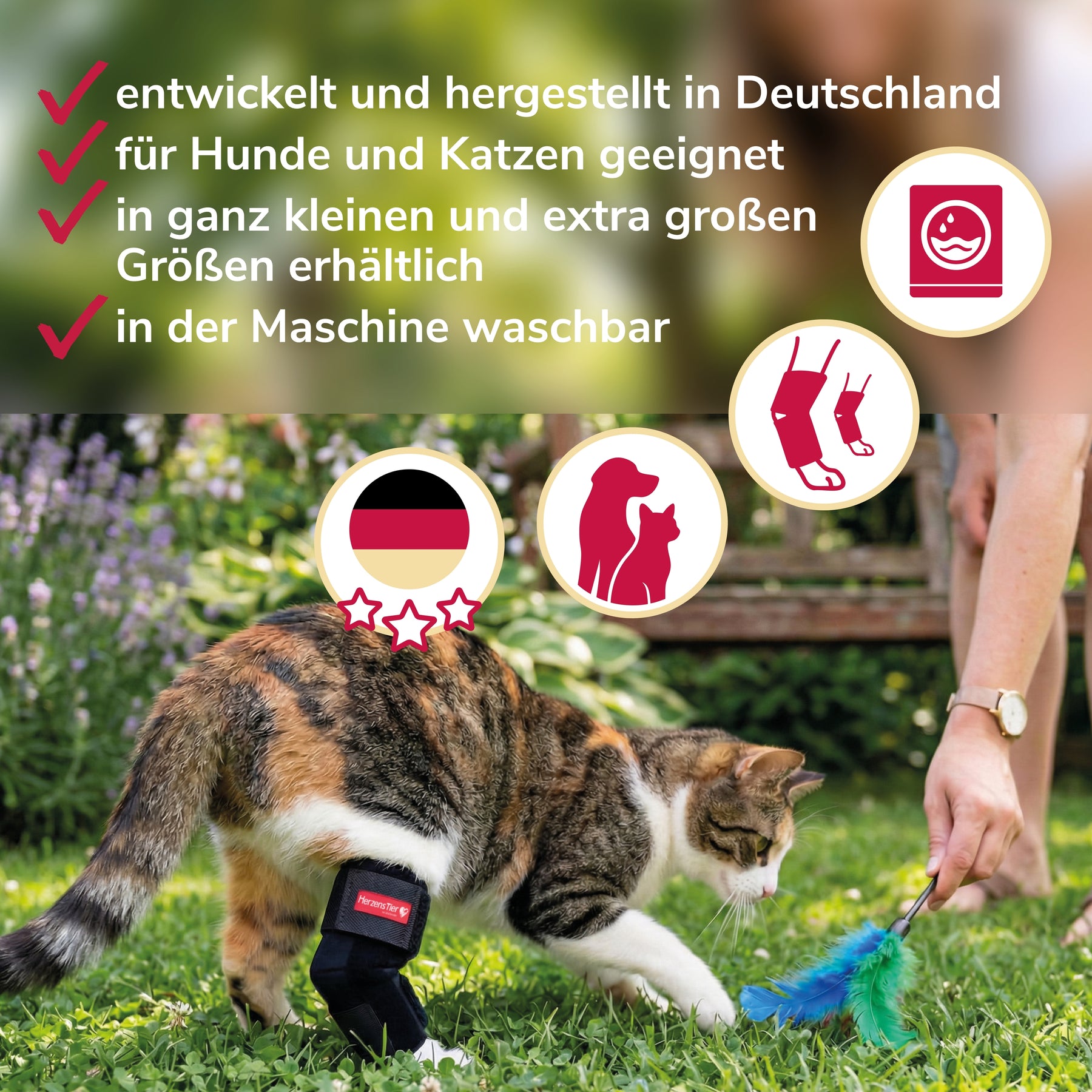 Sprunggelenkbandage Katze Neopren