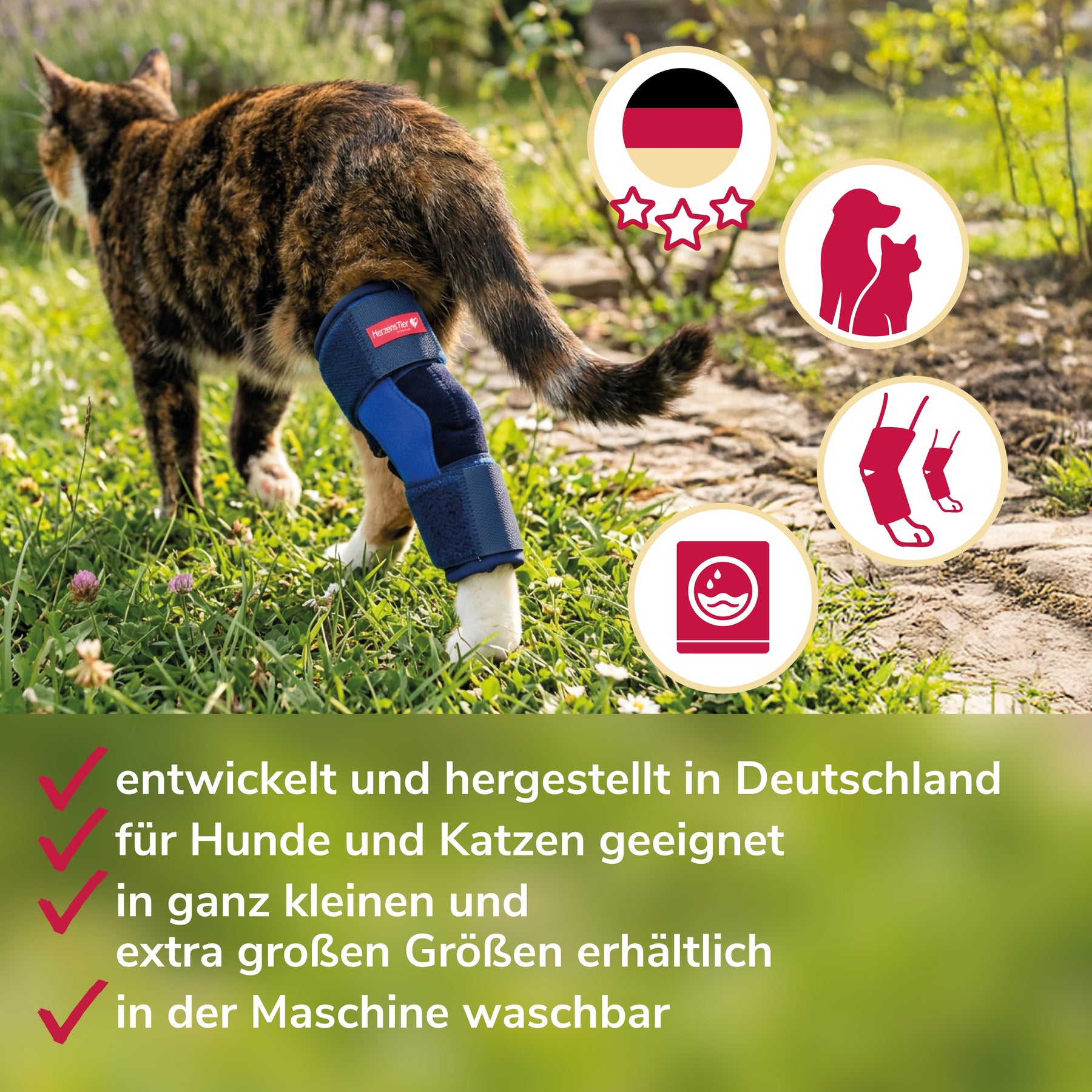 Sprunggelenkbandage Schaumstoff Katze Entwicklung