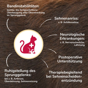 Sprunggelenkbandage Schaumstoff Katze Anwendungsbeispiele