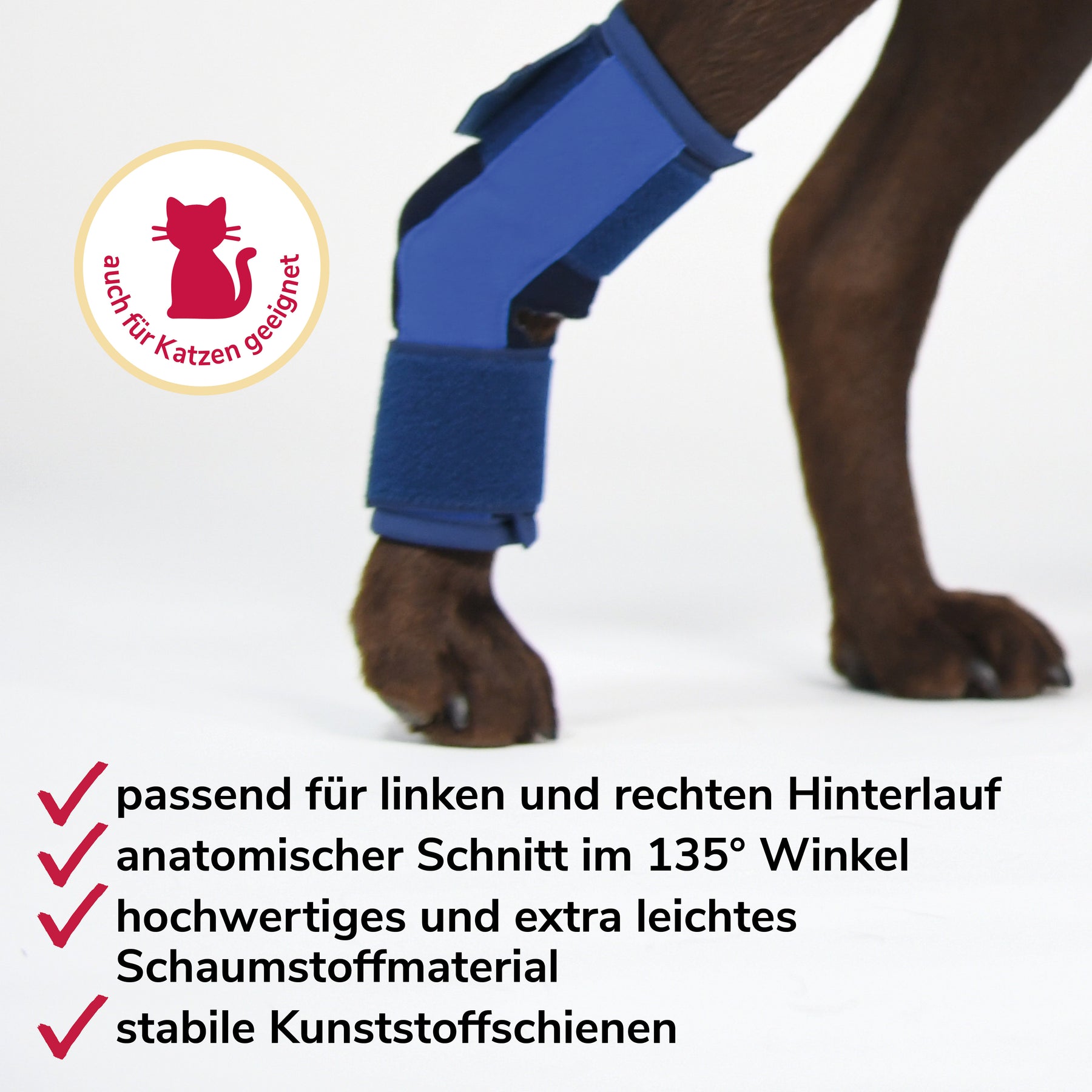 Sprunggelenksbandage Schaumstoff USPs