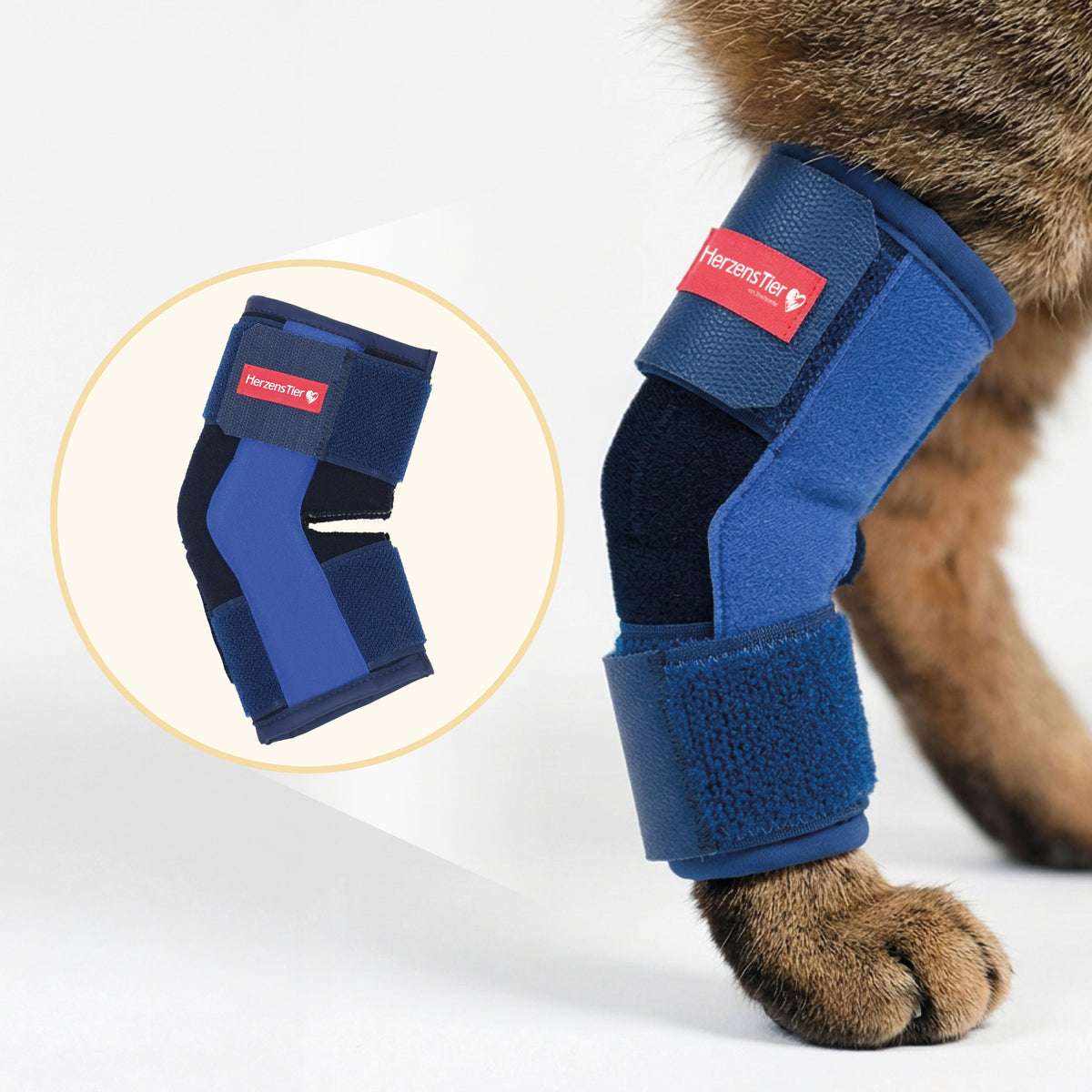 Sprunggelenkbandage Katze Schaumstoff Hauptbild