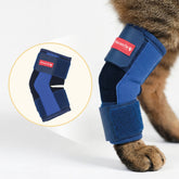 Sprunggelenkbandage Katze Schaumstoff Hauptbild