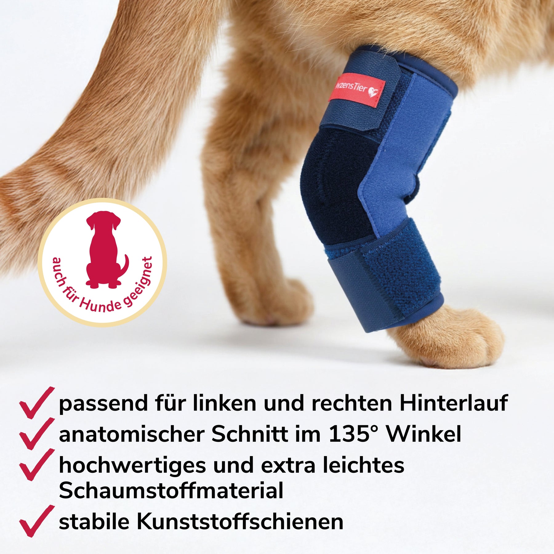 Sprunggelenkbandage Schaumstoff Katze USPs