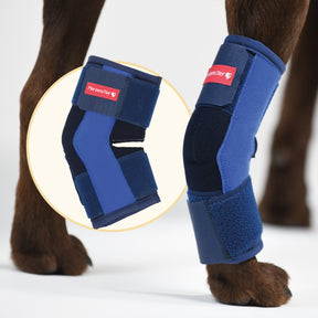 Sprunggelenksbandage Schaumstoff Hauptbild