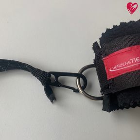 Haken für Trainingsbandage