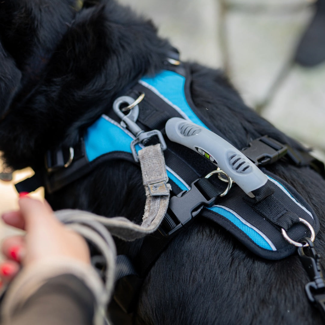 Hebe- und Tragehilfe Help 'Em Up