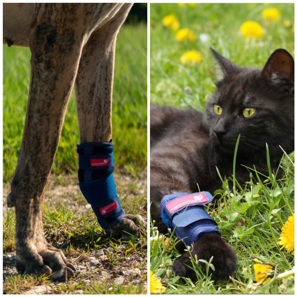 Karpalbandage Schaumstoff bei Bandinstabilität, Entzündung, Lahmheit