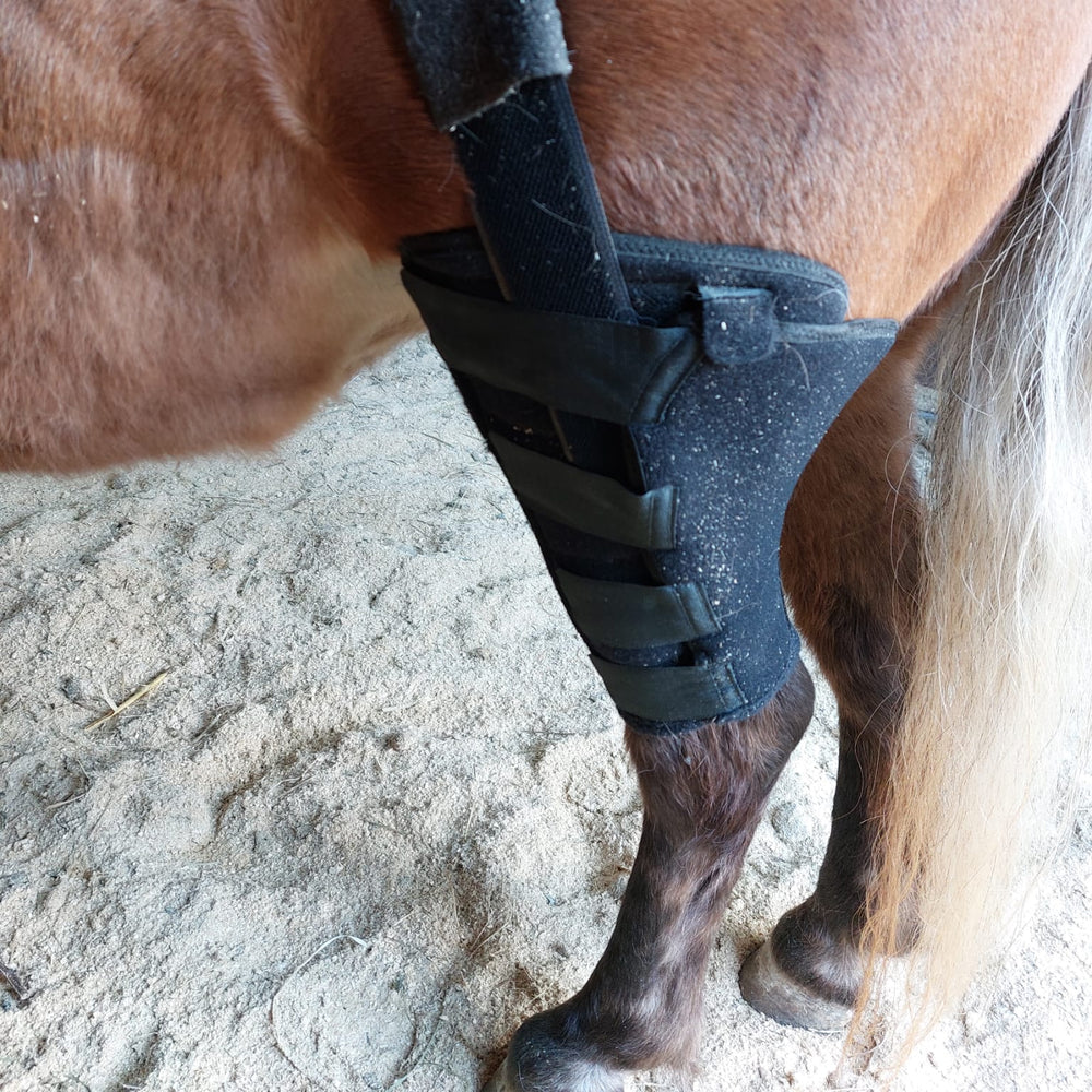 Knie Bandage Pferd