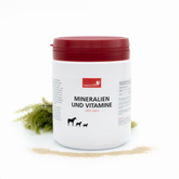 Mineralien und Vitamine Hauptbild