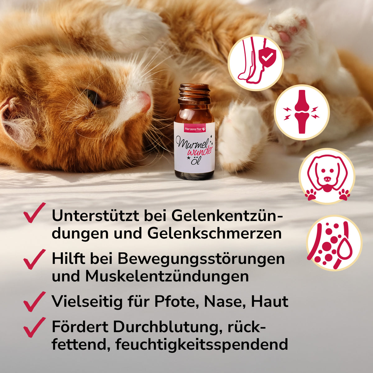 Murmelwunderöl für Muskeln, Gelenke bei Entzündungen