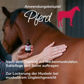 Murmelwunderöl Anwendungsbeispiel Pferd