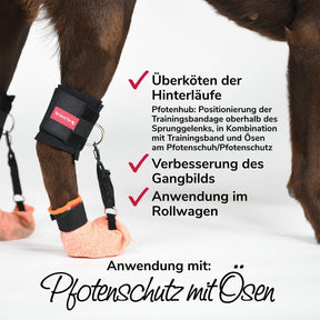 Trainingsbandage Anwendung mit Pfotenschutz mit Ösen