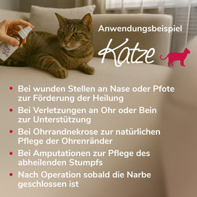 Pflegewunderspray Anwendungsbeispiel Katze