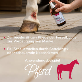 Pflegewunderspray Anwendungsbeispiel Pferd