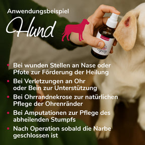 Pflegewunderspray Anwendungsbeispiel Hund