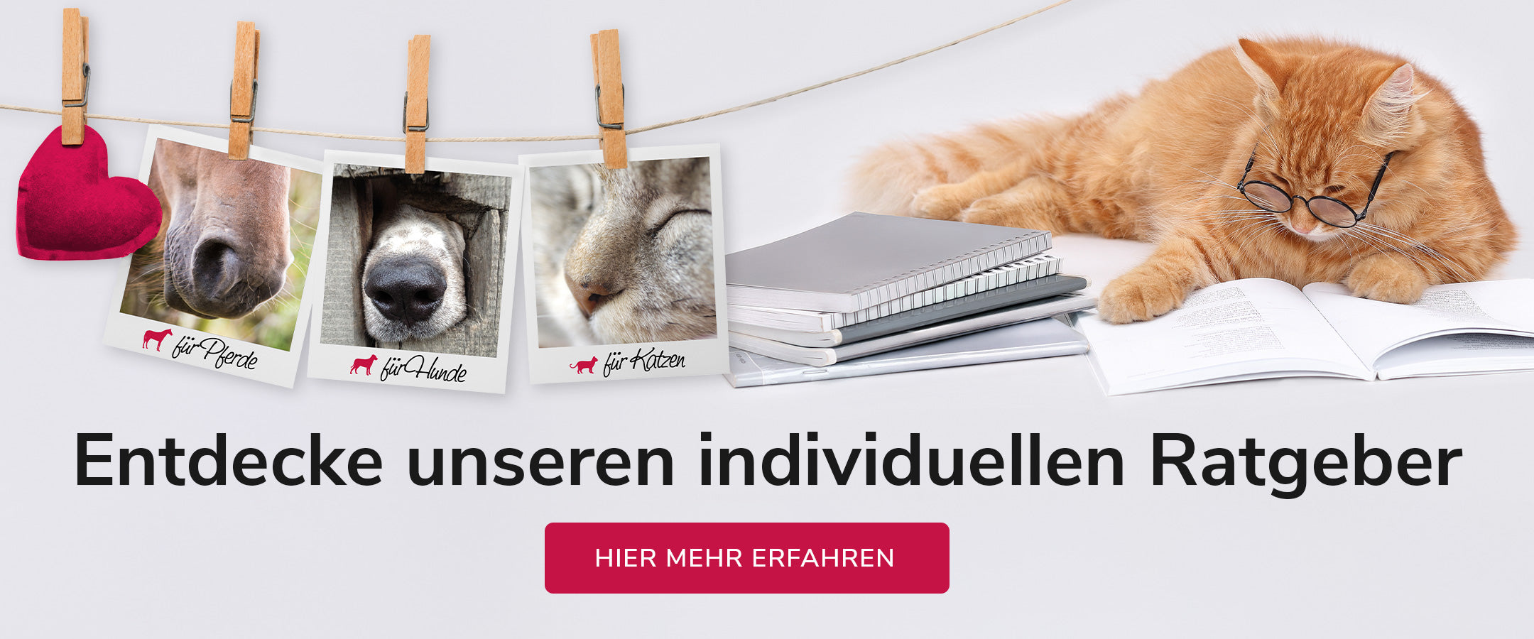 Zum Ratgeber