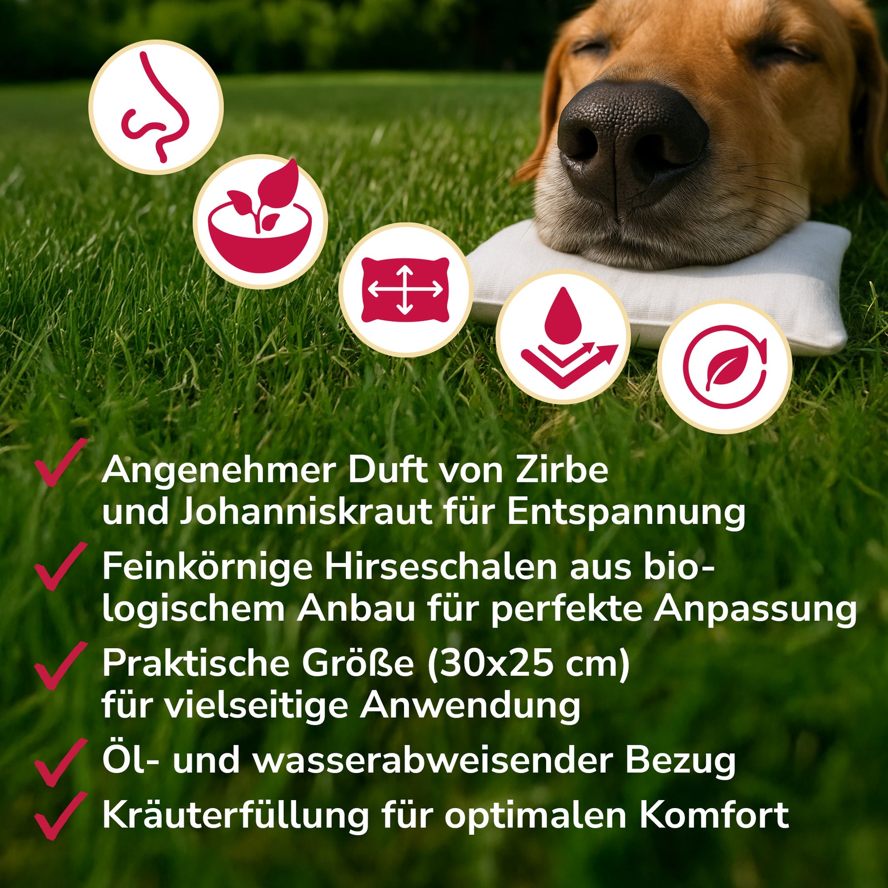 Ruhewunderkissen für Schlafplatz, Transportbox