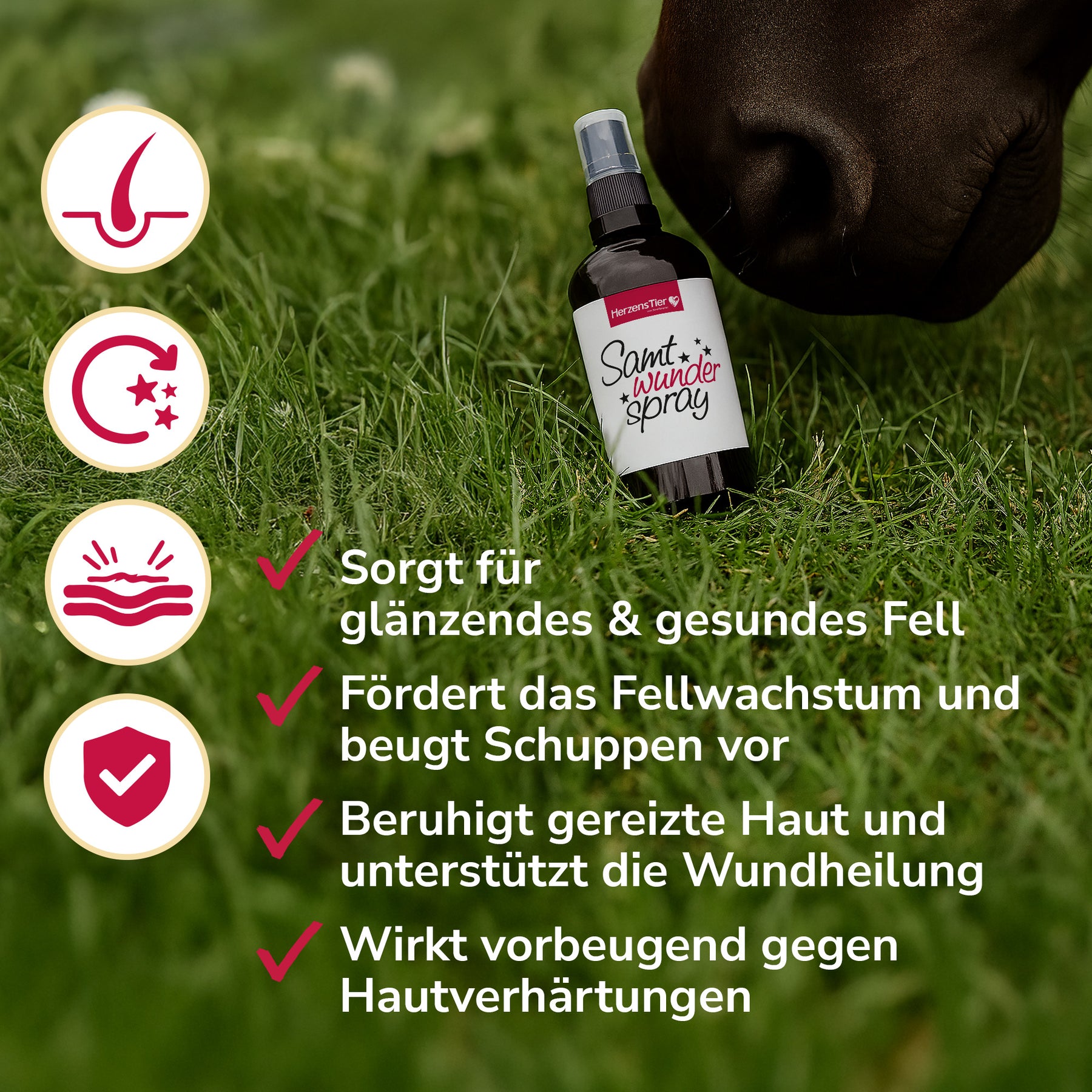 Samtwunderspray zur Fell- und Hautpflege