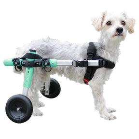 Walkin' Wheels Rollwagen für Hunde & Katzen mit 6 - 11 kg