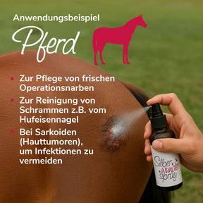 Silberwunderspray Anwendungsbeispiel Pferd