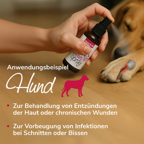 Silberwunderspray Anwendungsbeispiel Hund