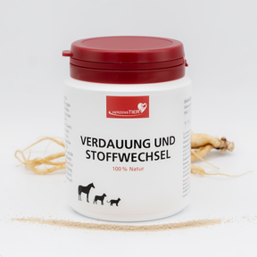 Verdauung und Stoffwechsel Hauptbild