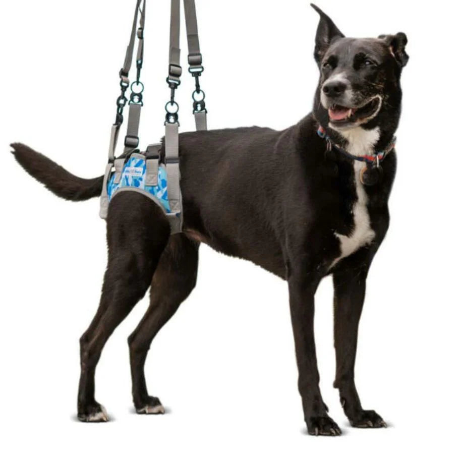 Hebehilfe für Hinten Hund Rosa