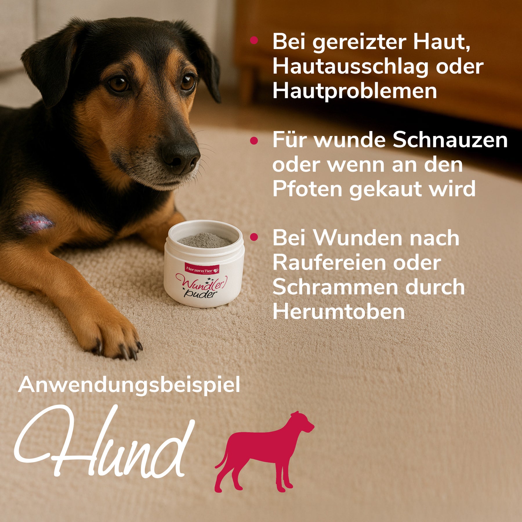 Wunderpuder Inhaltsstoffe Hund