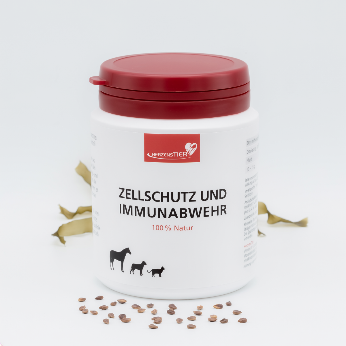 Zellschutz und Immunabwehr Hauptbild