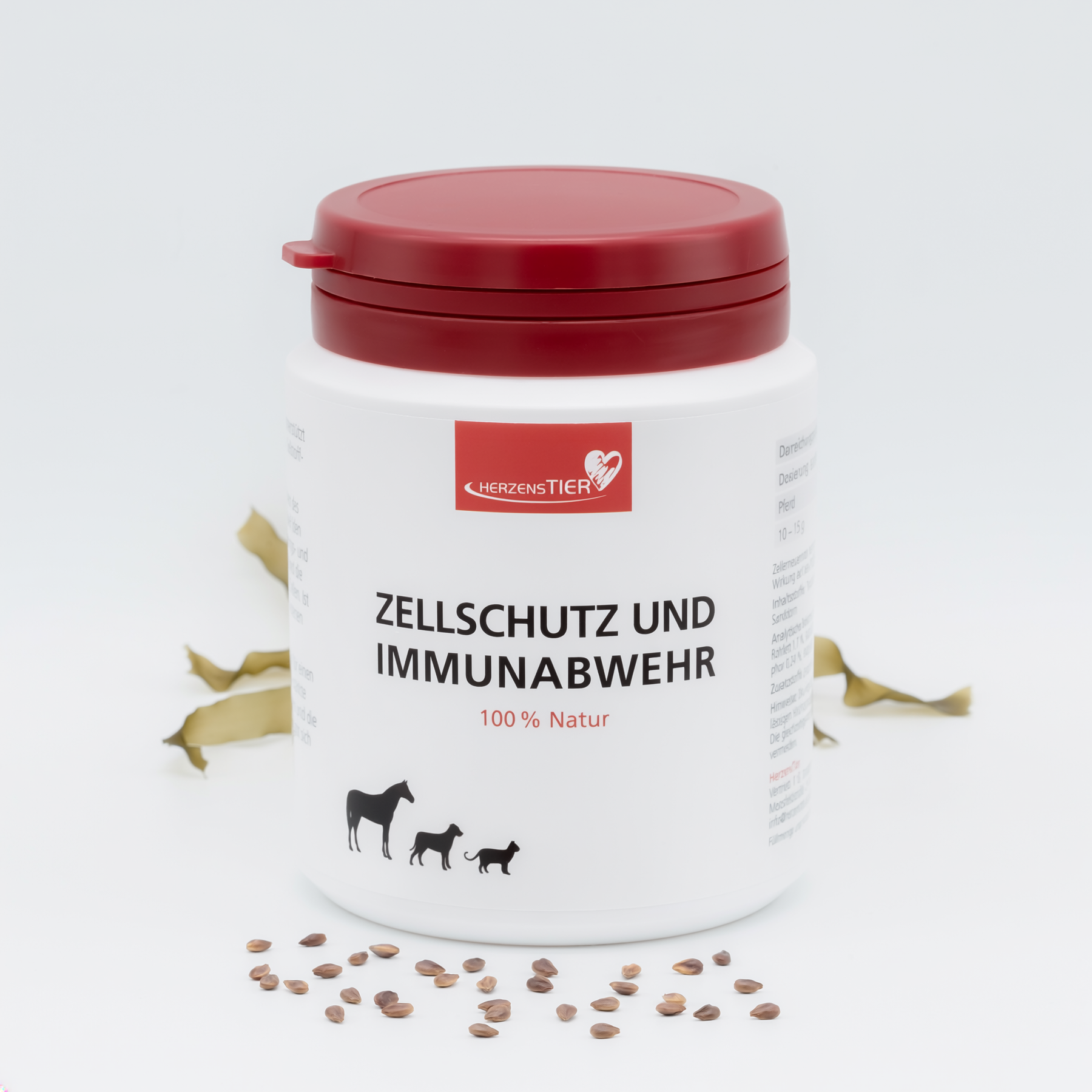Zellschutz und Immunabwehr Hauptbild