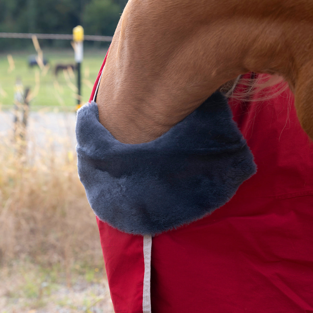 CosyCover Short Anthrazit
