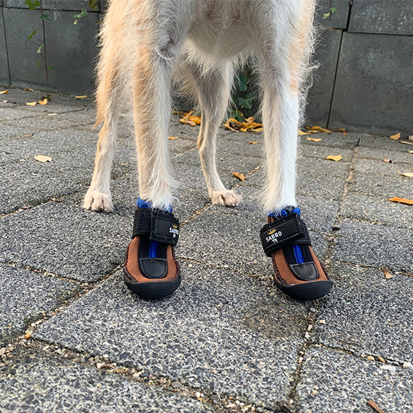 Hunde Pfotenschuhe HerzensTier