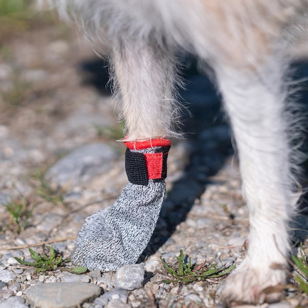 Katzen Pfotenschuhe