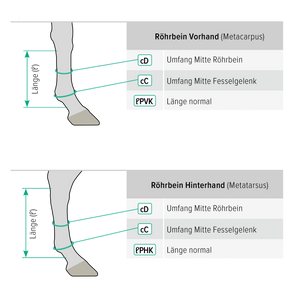 EquiCrown active Kompressionsbandage