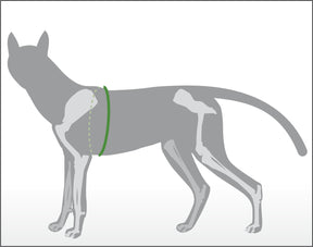 Spezial-Brustgeschirr für Hunde mit Haltegriff