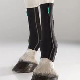 EquiCrown active
