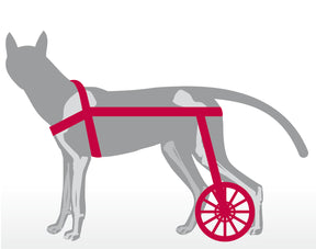 Walkin' Wheels Rollwagen für Hunde & Katzen mit 6 - 11 kg