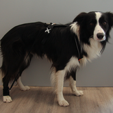 Trainingsbandage