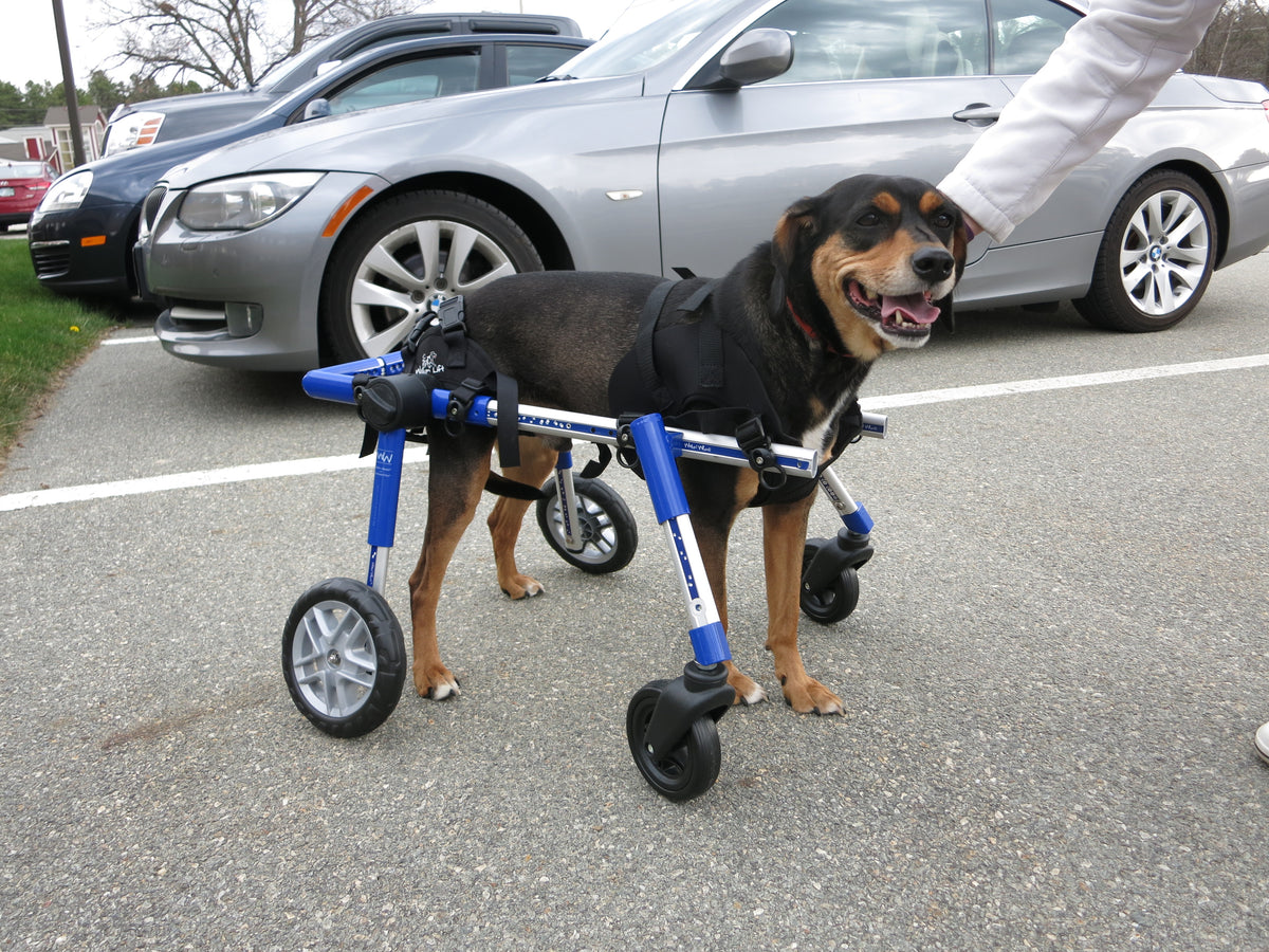 Walkin' Wheels Frontanbau 12 - 31 kg