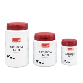 HerzensTier Arthrose akut