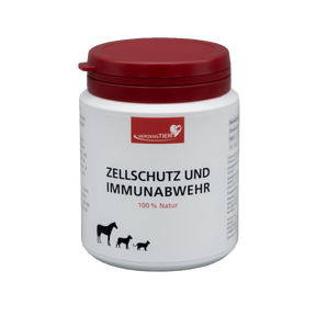 HerzensTier Zellschutz und Immunabwehr