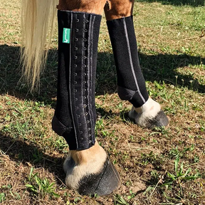 EquiCrown fit