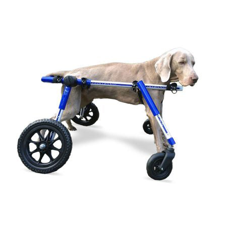 Walkin' Wheels Frontanbau 12 - 31 kg (für Hunde-Rollwagen)