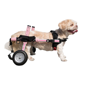 Walkin' Wheels Rollwagen für Hunde & Katzen mit 6 - 11 kg